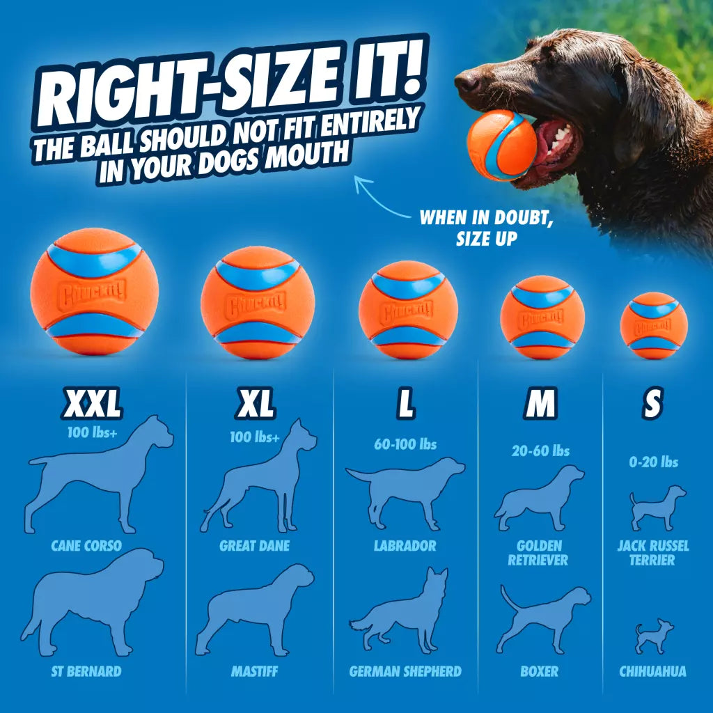 Chuckit! Balle Ultra Ball - 5 tailles disponibles