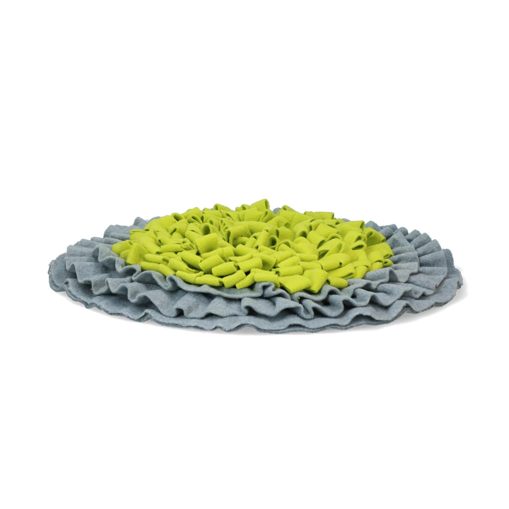 Tapis de fouille pliable