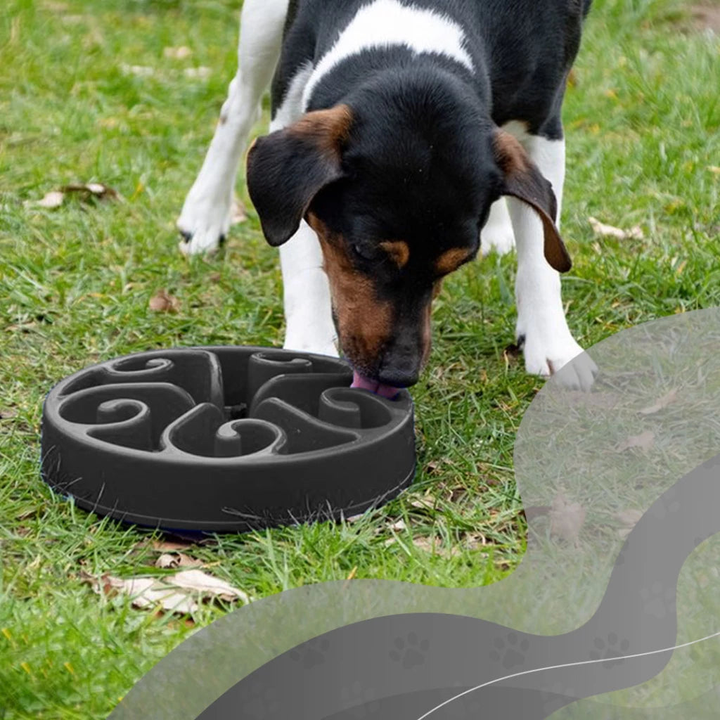 Gamelle anti-glouton spirale - 2 tailles disponibles