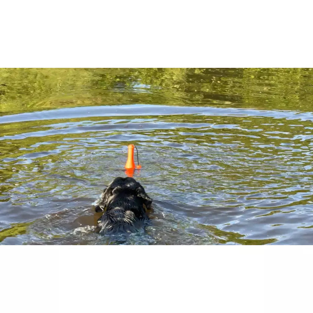 Dog Comets - Jouet flottant - 3 couleurs disponibles