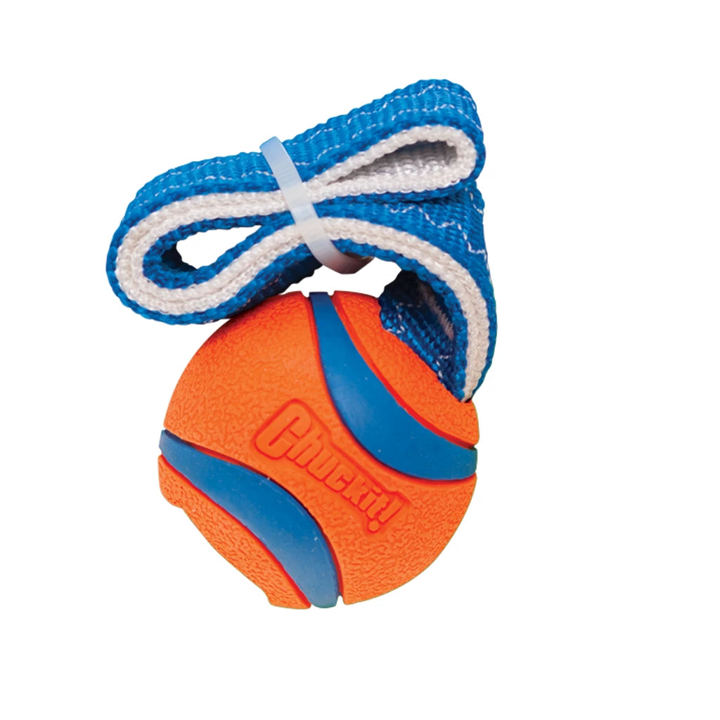 Chuckit! Ultra Tug - 3 tailles disponibles