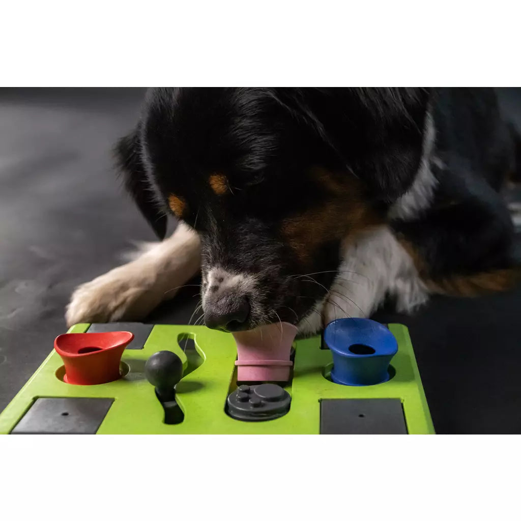 Jouet d'intelligence puzzle - 3 modèles disponibles